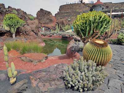 Сад кактусов на Лансароте, произведение художника и скульптора Сезара Манрике