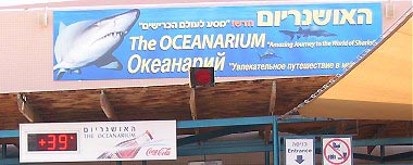 показание термометра у входа в Океанариум