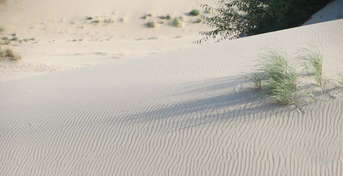 песчаная рябь