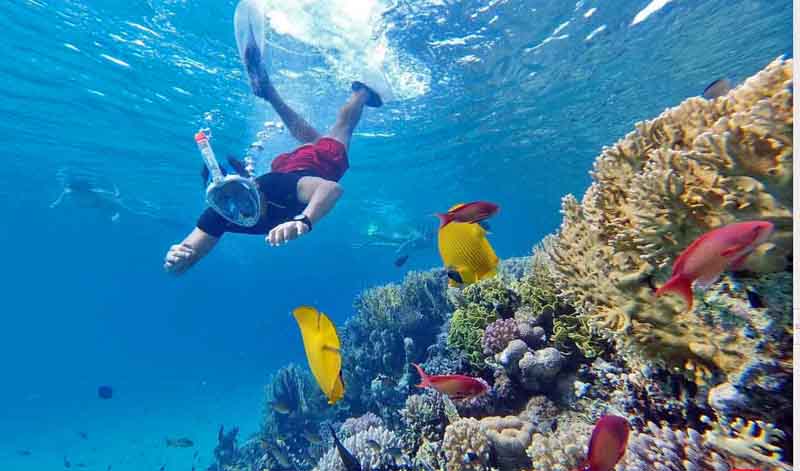 ������� ����������� ����