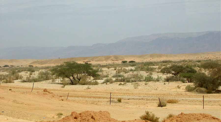 Пустыня в Израиле