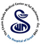 Логотип клиники Шиба