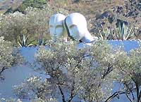 Усадьба Дали, скульптура из двух металлических голов