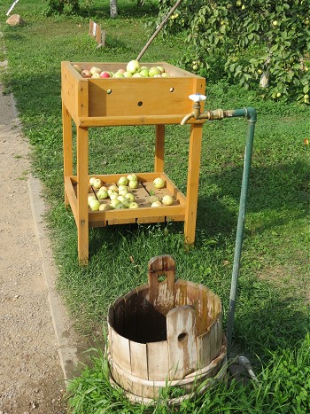 кран для мытья яблок