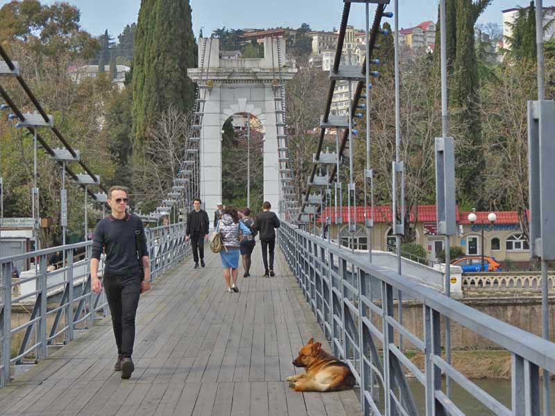 пешеходы и бродячая собака на мосту