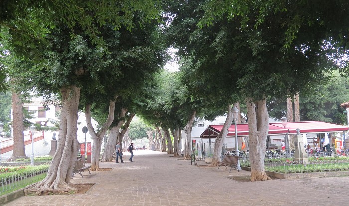 площадь Пласа-де-Касерес в Икод де лос Винос, Тенерифе