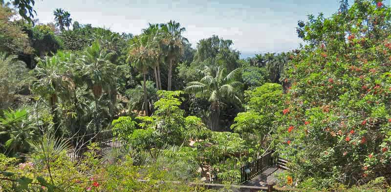 Jungle Park - тропический оазис