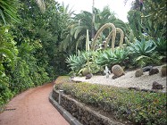 Лоро Парк фактически является и ботаническим садом