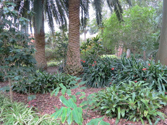Jardin Botanico, 